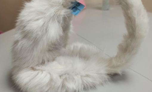 Химчистка натурального меха