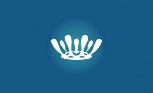 Химчистка пледа от 600 рублей